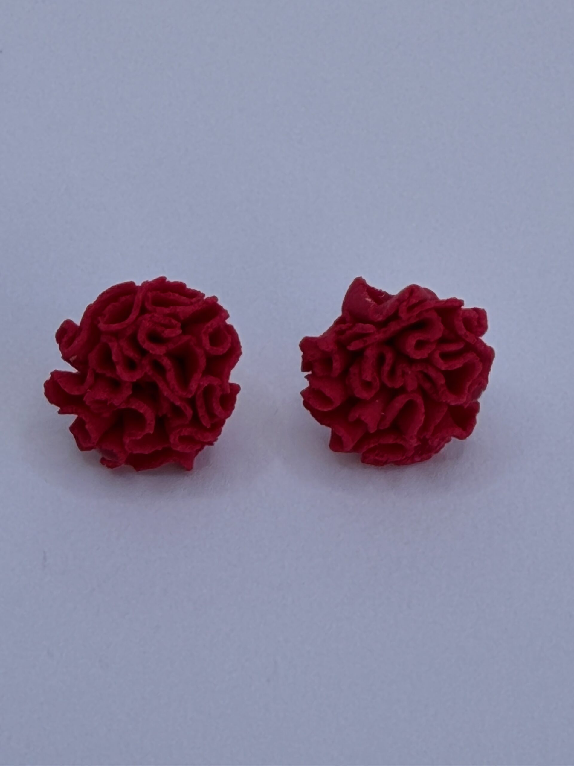 IMG_6069 Mini clavel - Imagen 1